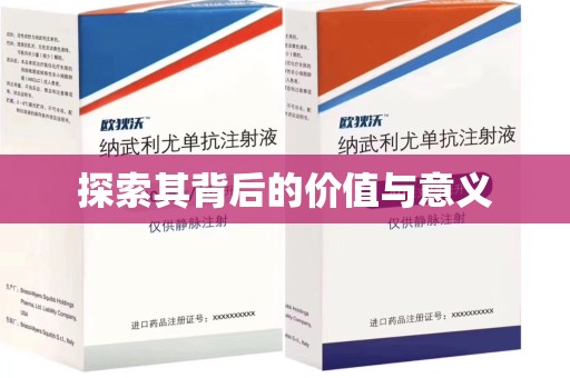 扬州探索其背后的价值与意义